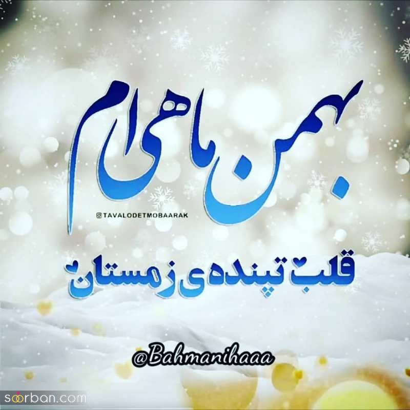 گالری از عکس پروفایل بهمن ماهی های بسیار حسّاس با متنهای جدید 