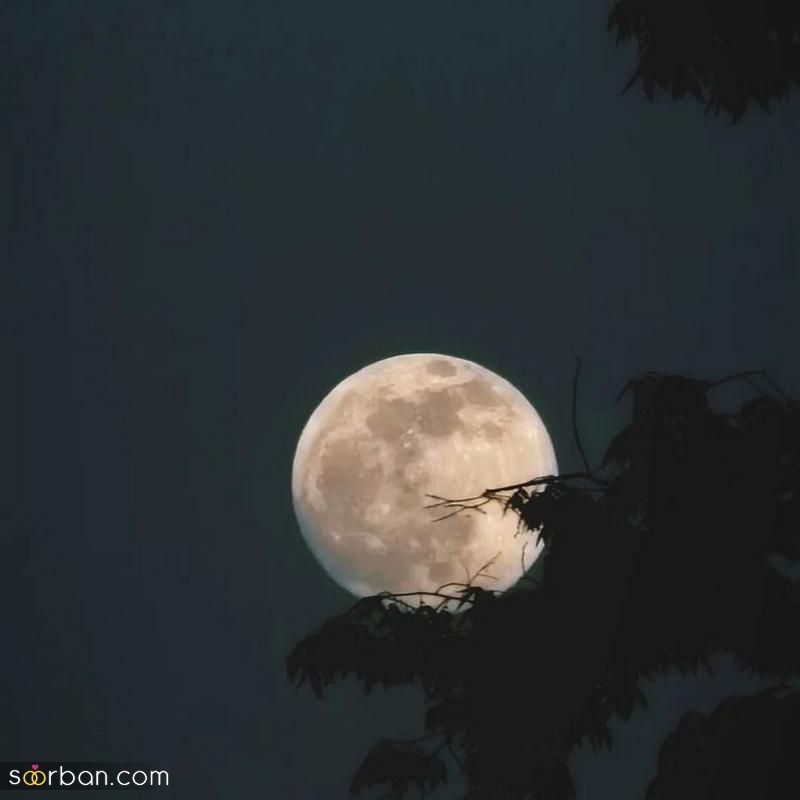 عکس شب 2023 جدید برای استوری با یک ویو زیبا همراه با ماه[30 عکس]