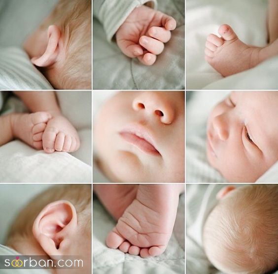 عکاسی از اجزای بدن نوزاد در خانه و آتلیه | جدیدترین ایده های عکس گرفتن از نوزاد در سال 2024