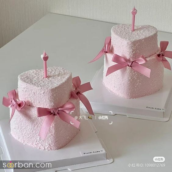 کیک تولد دخترانه 1403 | مدل کیک تولد خاص و شیک برای خانم های سخت پسند 