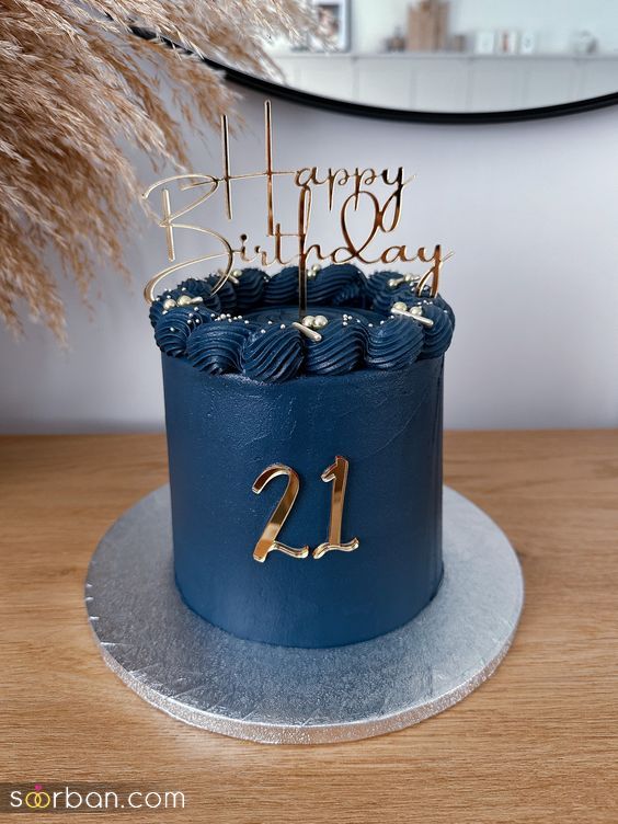 کیک تولد پسرانه | کیک تولد پسرانه بزرگسال 2024 - قشنگترین کیک تولد مردانه که مردهارو شگفت زده می کنه!