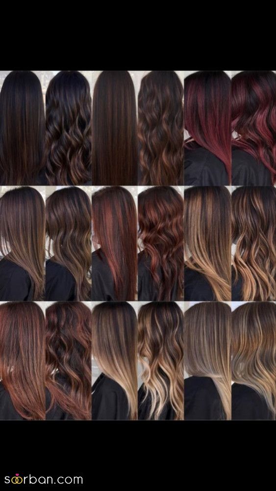 مدل رنگ و مش مو جدید | مدل رنگ و مش مو جدید 2024 برای خانمها با پوست روشن/گندمی/سبزه