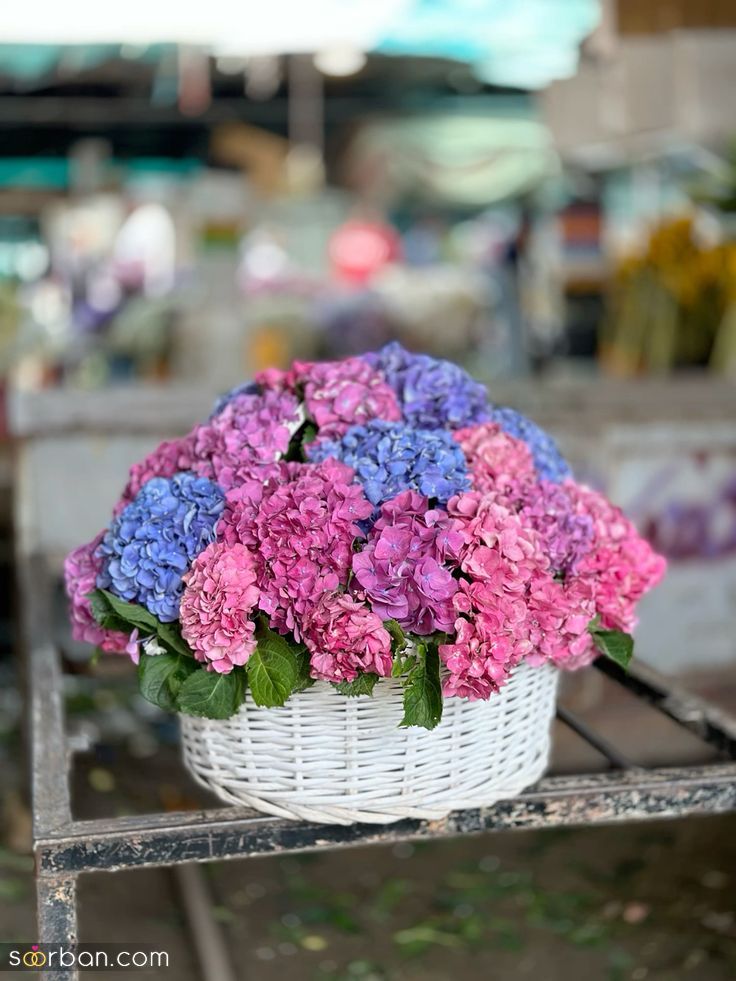 گل بله برون ۱۴۰۳ در مدل سبدی و دسته گل برای جشن نامزدی در رنگ های متنوع و شیک