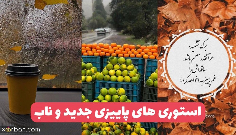 متن و عکس استوری پاییز برای اینستا و واتساپ با متن و بدون متن ۱۴۰۳ استوری فیک پاییزی بارون، برگ و ...