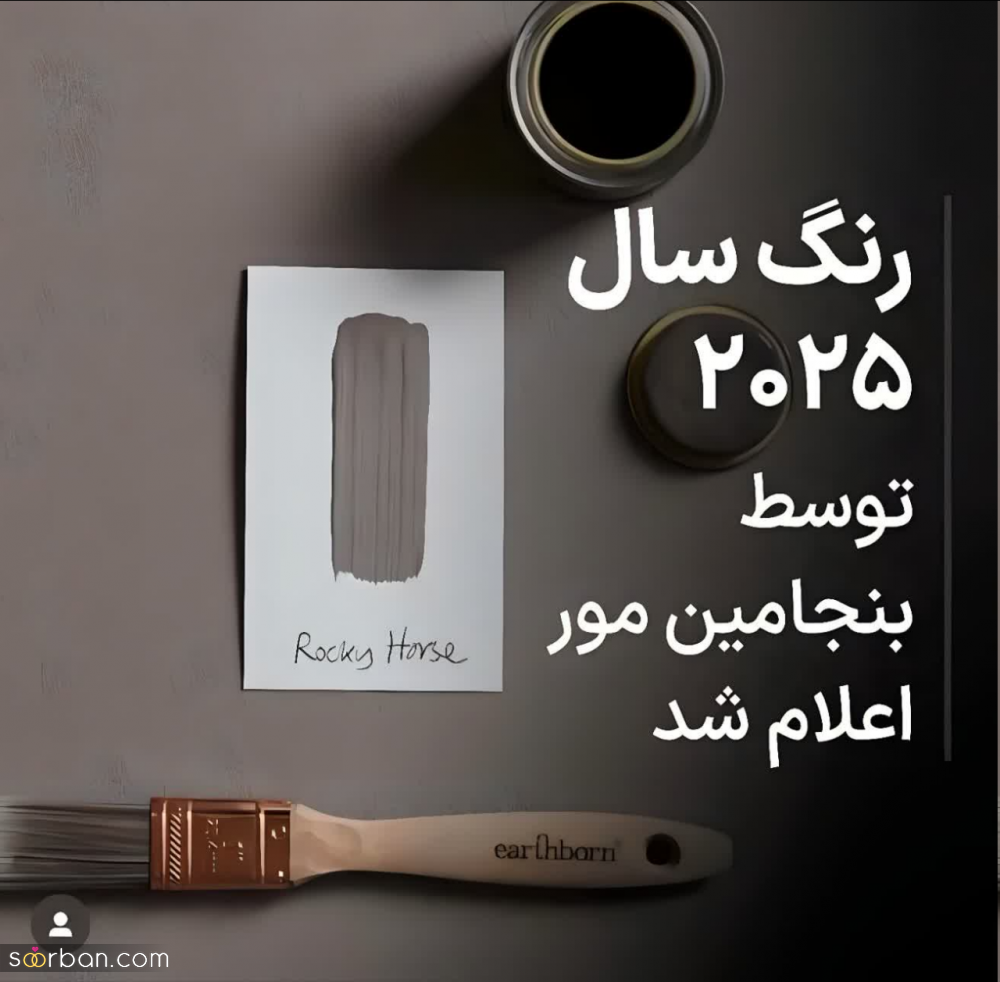 این رنگ لوکس و فاخر به عنوان رنگ سال ۲۰۲۵ انتخاب شد! + عکس و نحوه ست کردن