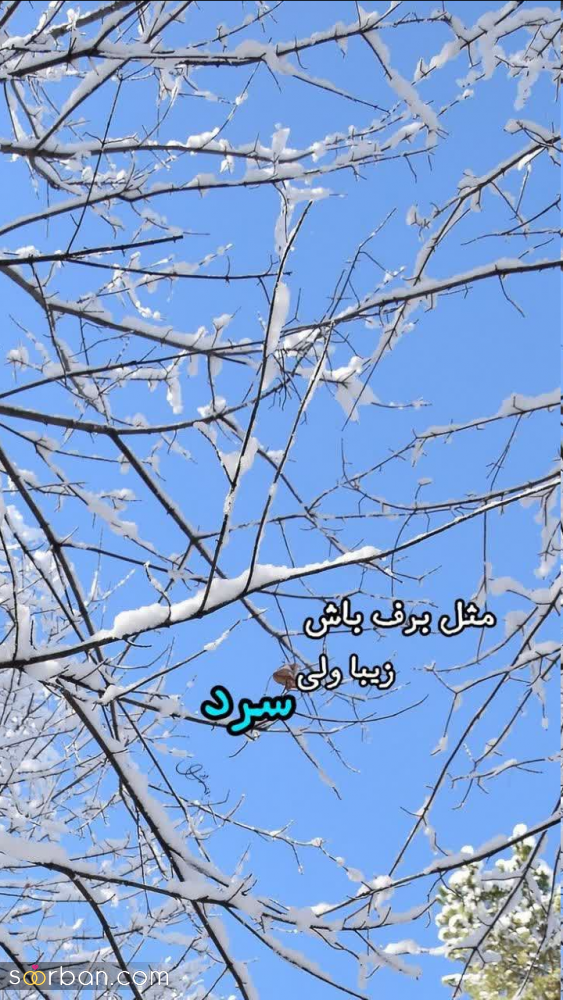 استوری برفی ریپلای خور ❤️ ۴۵ عکس فیک برف و عکس نوشته برفی لاکچری و جذاب با دلنوشته هایی خاص!