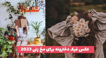 30 عکس فیک دخترونه برای مخ زنی 1402 بدون چهره؛ بسیار خفن [ازنیم رخ و واقعی]