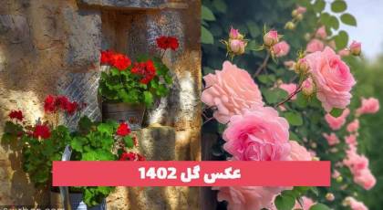 50 عکس گل 2023 برای پروفایل؛ بسیار زیبا [طبیعی]